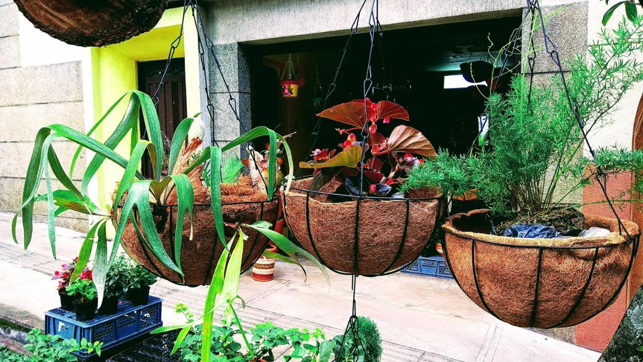 Casa Luna -Estrategica Ubicacion- Medellín Eksteriør bilde