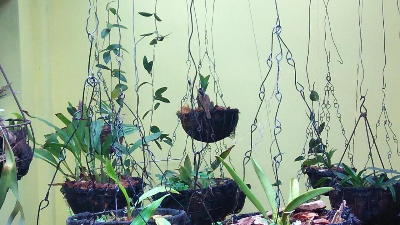 Casa Luna -Estrategica Ubicacion- Medellín Eksteriør bilde