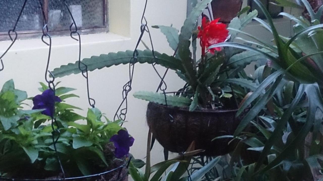 Casa Luna -Estrategica Ubicacion- Medellín Eksteriør bilde